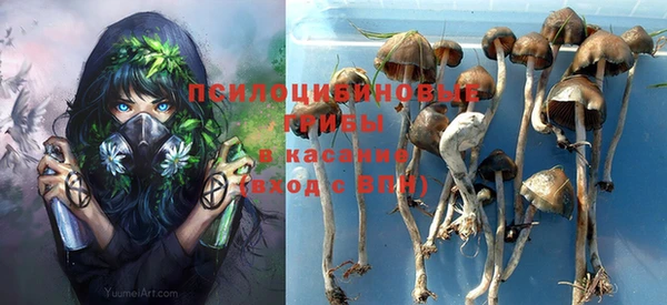 тгк Алзамай