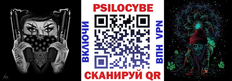 Псилоцибиновые грибы Psilocybe  где купить наркоту  Чернушка 