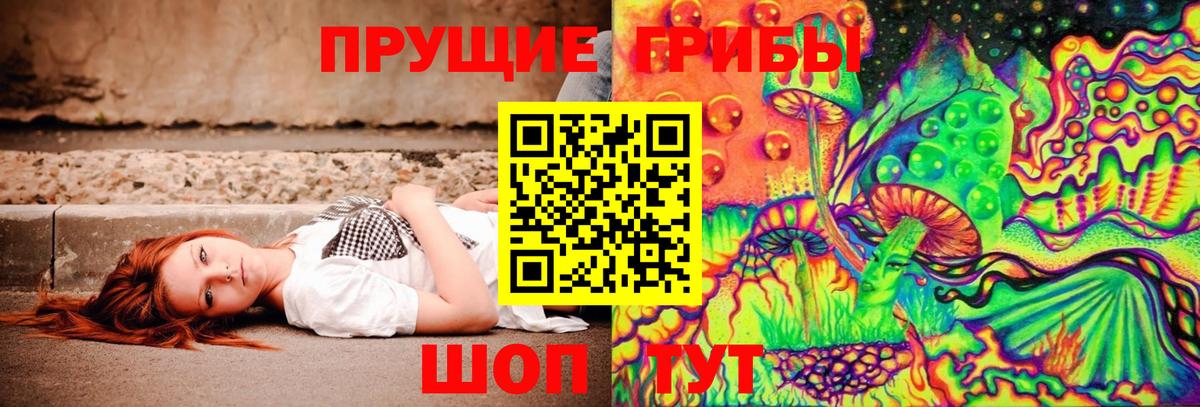 Чернушка  наркота  Псилоцибиновые грибы прущие грибы  Вход с VPN  Галлюциногенные грибы Psilocybine cubensis 