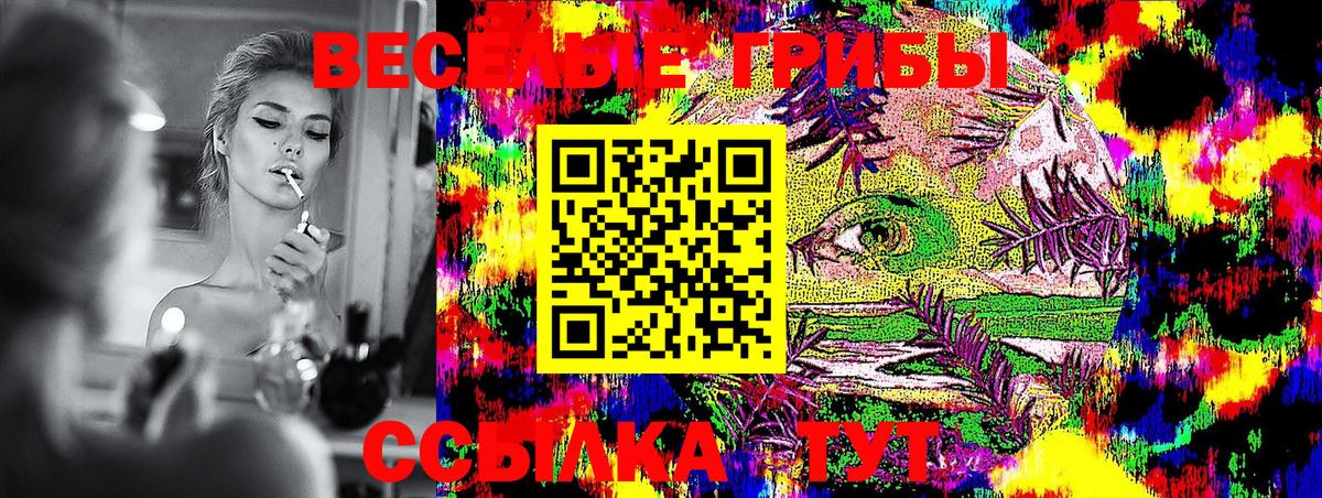 Псилоцибиновые грибы Psilocybine cubensis Чернушка
